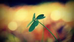 uv平板喷画工艺是什么类型的印刷工艺形式，uv喷画制作