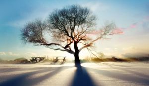 uv平板喷画工艺是什么类型的印刷工艺形式，uv喷画制作